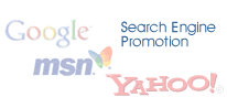 Search engine promotion